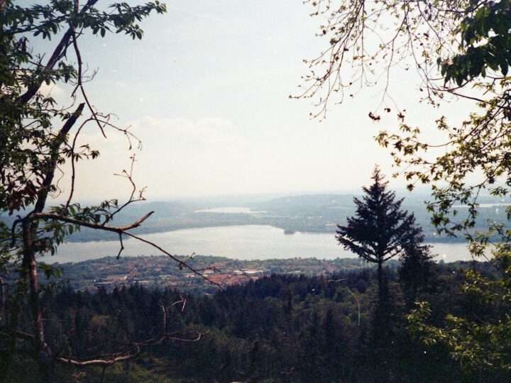 Лсовий парк Марян
